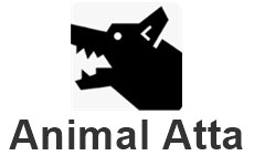 Animal Attack