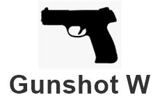 Gunshot Wound